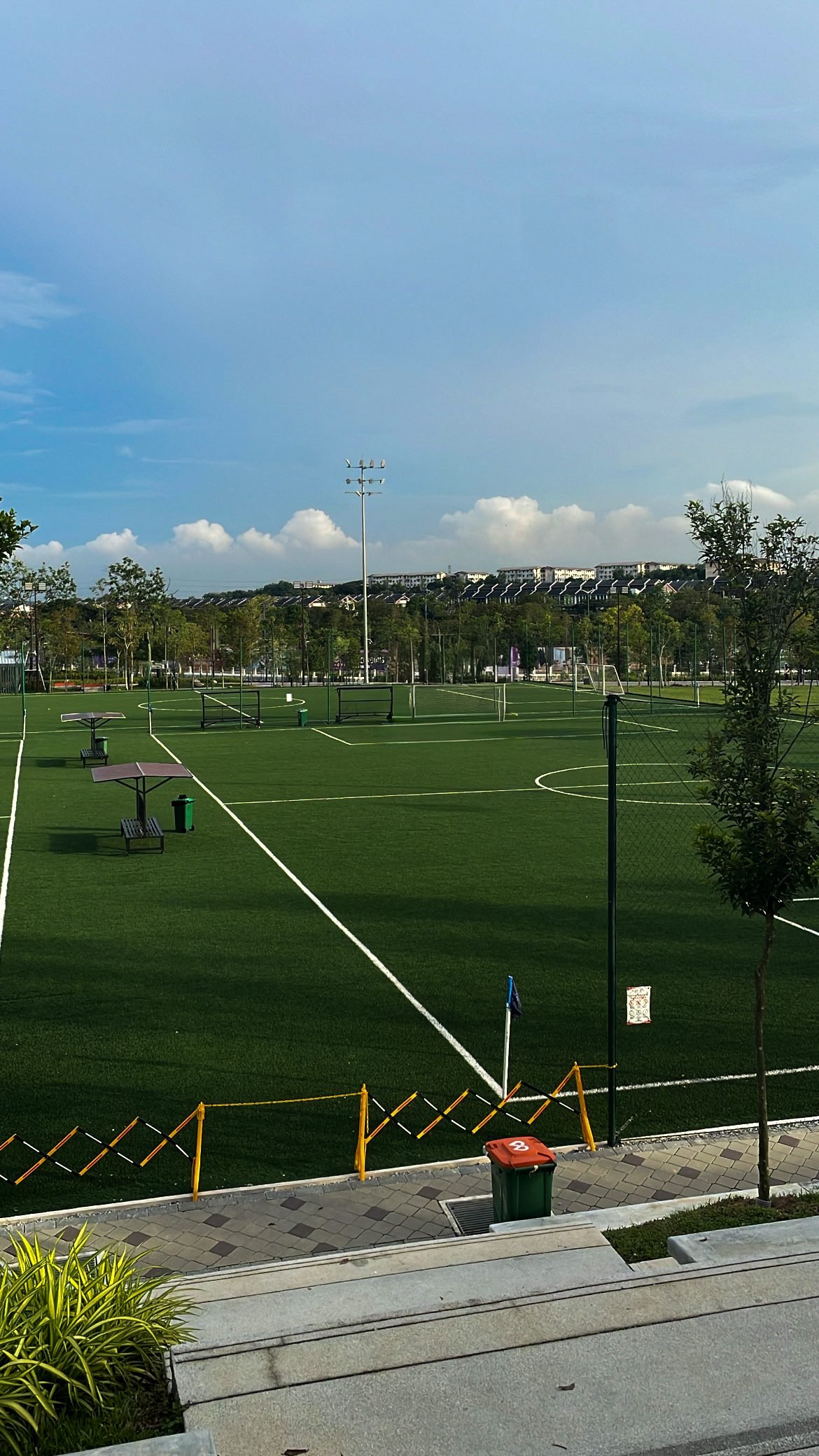 Detalle pasto sintético