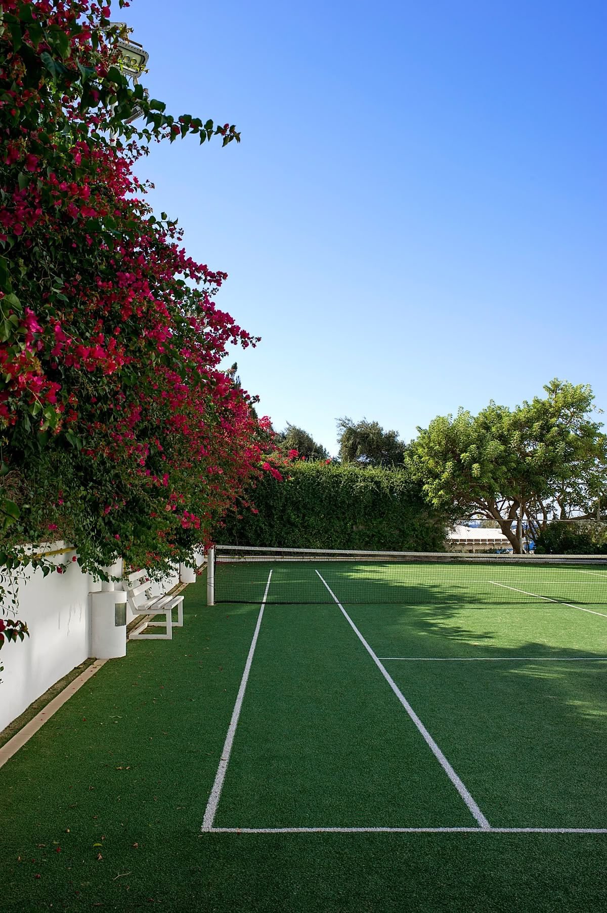 Cancha de tenis con superficie de pasto deportivo sintético.