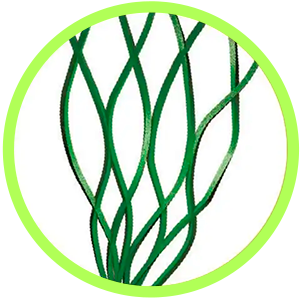 Pasto Sintético Fibrilado.