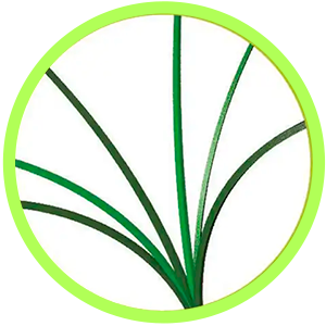 Pasto Sintético Monofilamento.