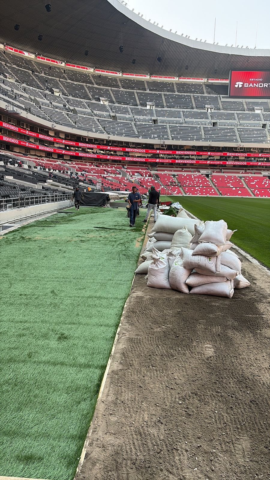 Resultado final de instalación de pasto deportivo certificado.
